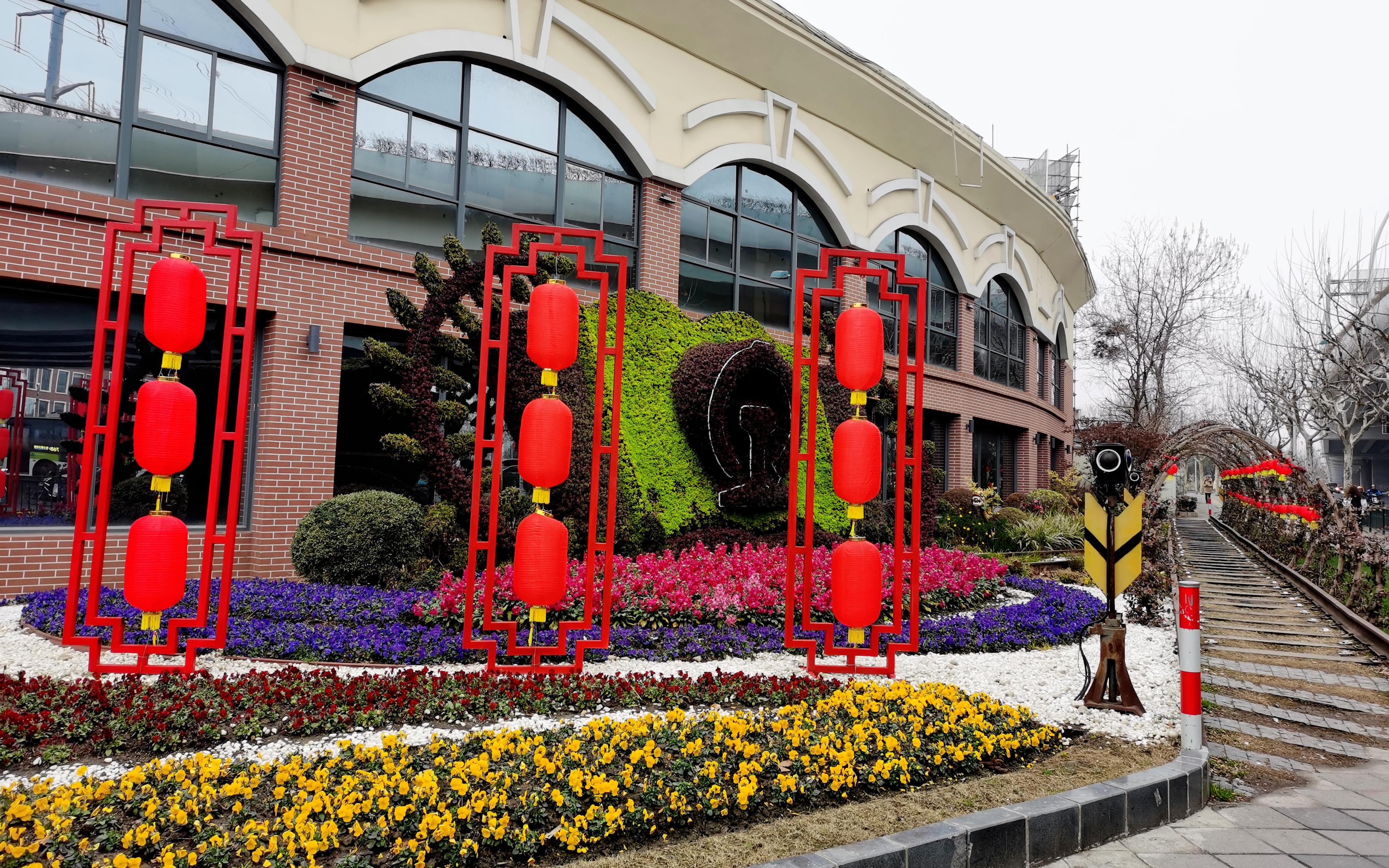 市绿化部门全力做好节前花卉布置喜迎虎年到来