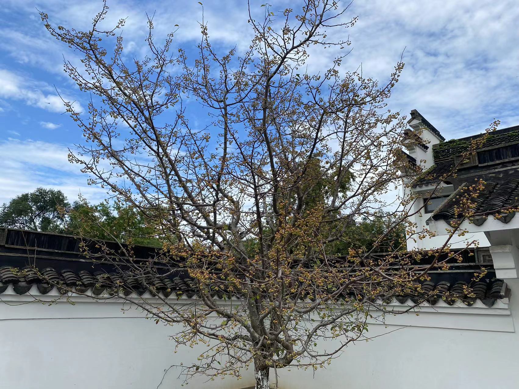 微信图片_20231009104658.jpg