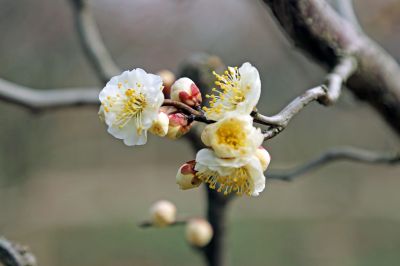 8C9A5339.jpg
