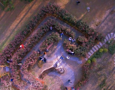 IMG_6384(20230112-170845).jpg IMG_6384(20230112-170845).jpg