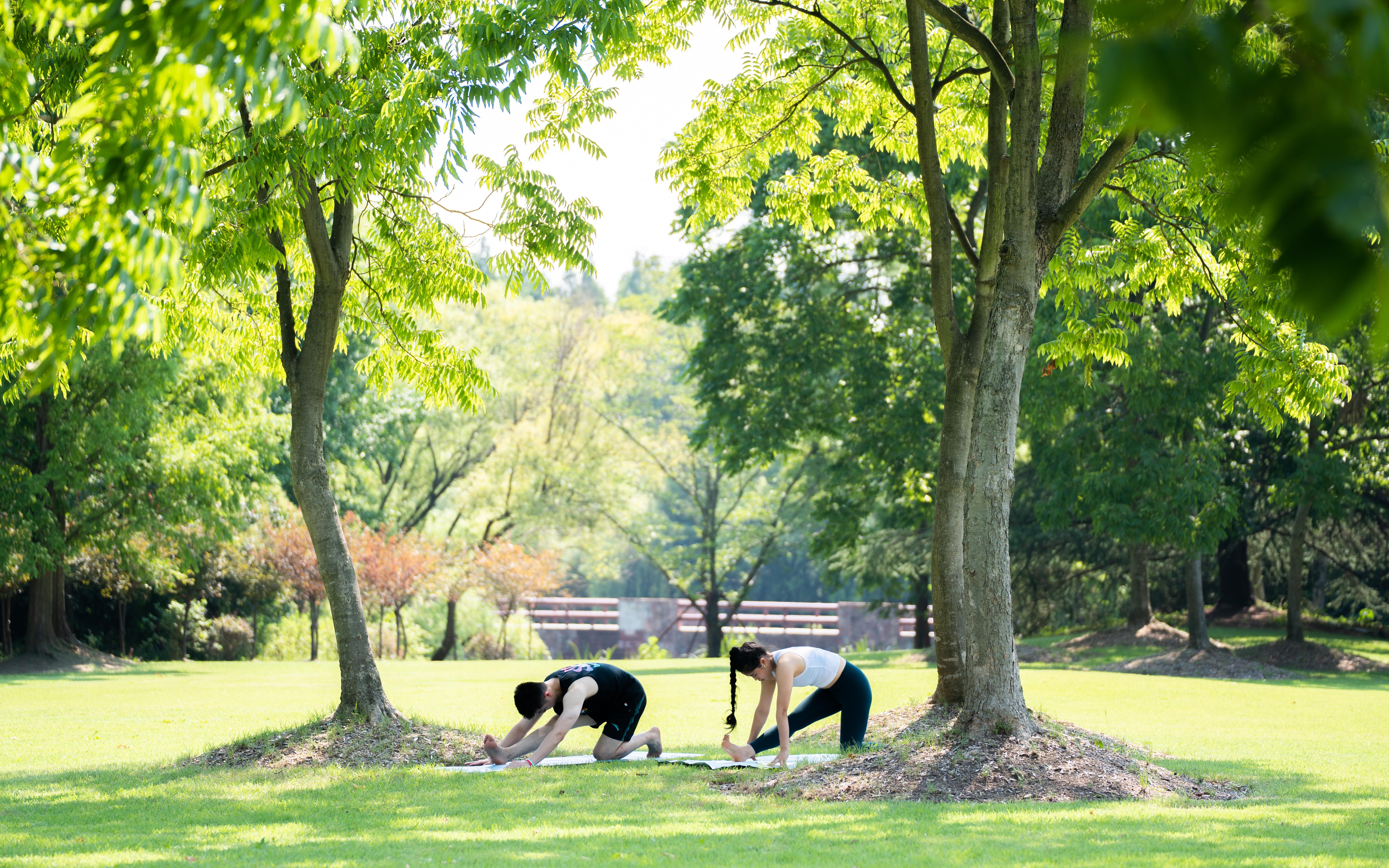 KIR08121.jpg KIR08121.jpg