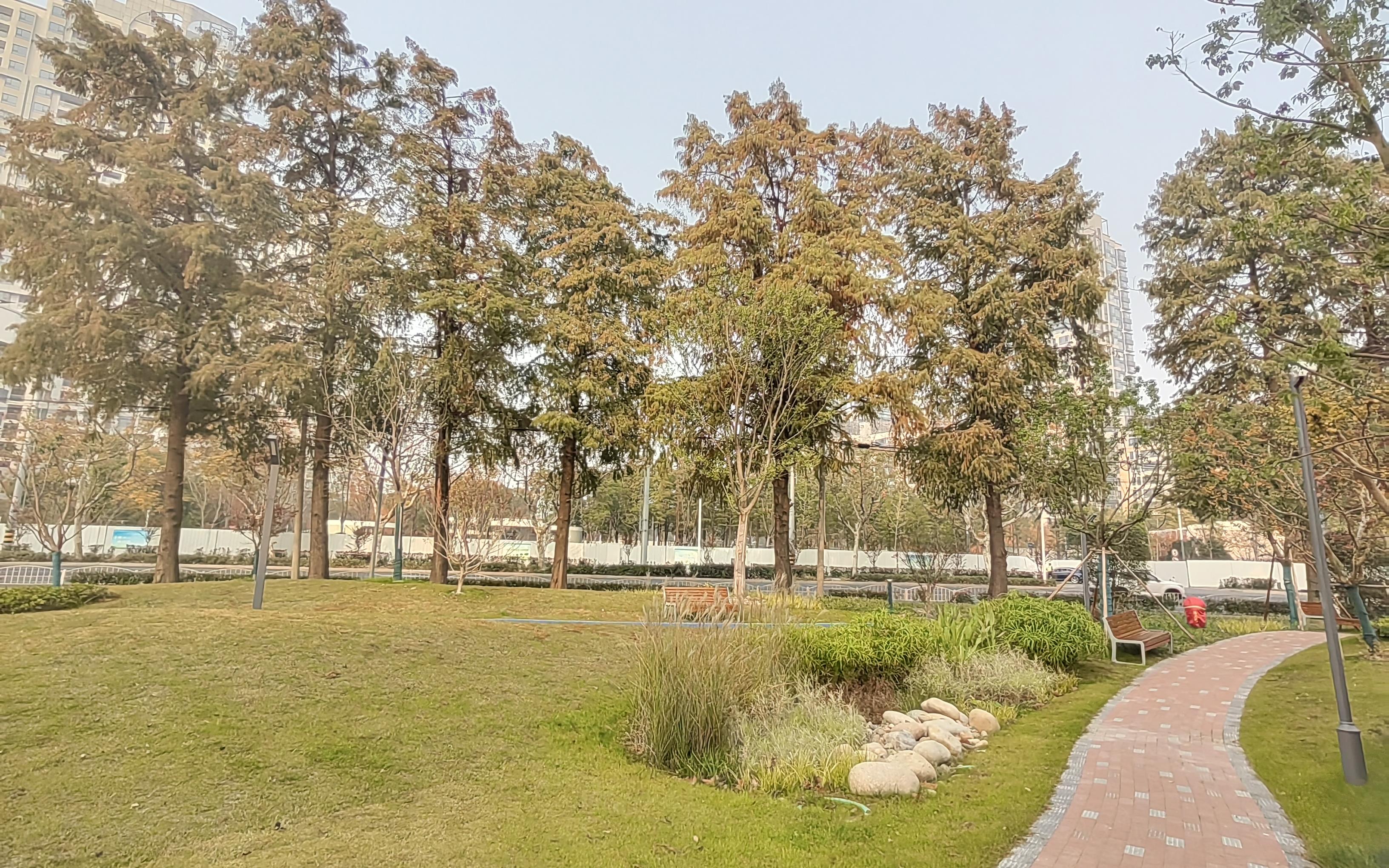 市绿化部门开展2024年度单位附属绿地开放共享点位调研