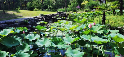 92f7c41244c644c56a1b2232f4a6cba.jpg 92f7c41244c644c56a1b2232f4a6cba.jpg