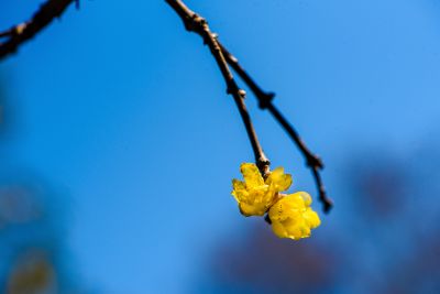 DSC_1655.jpg