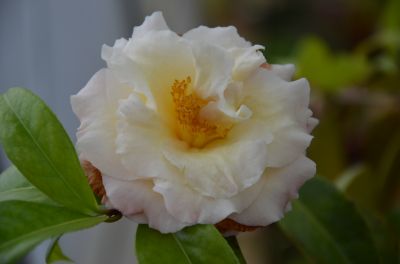 新世纪.jpg 新世纪.jpg