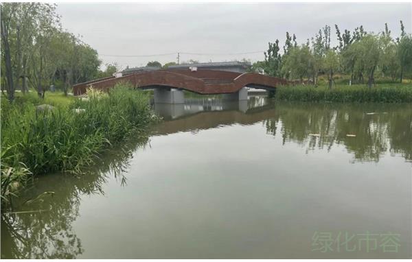 准备布展的池塘.jpg 准备布展的池塘.jpg