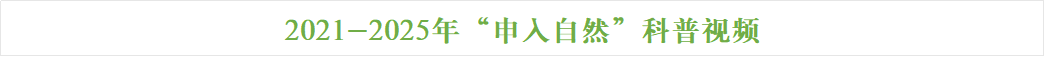微信图片_20260515095005_392_137.png