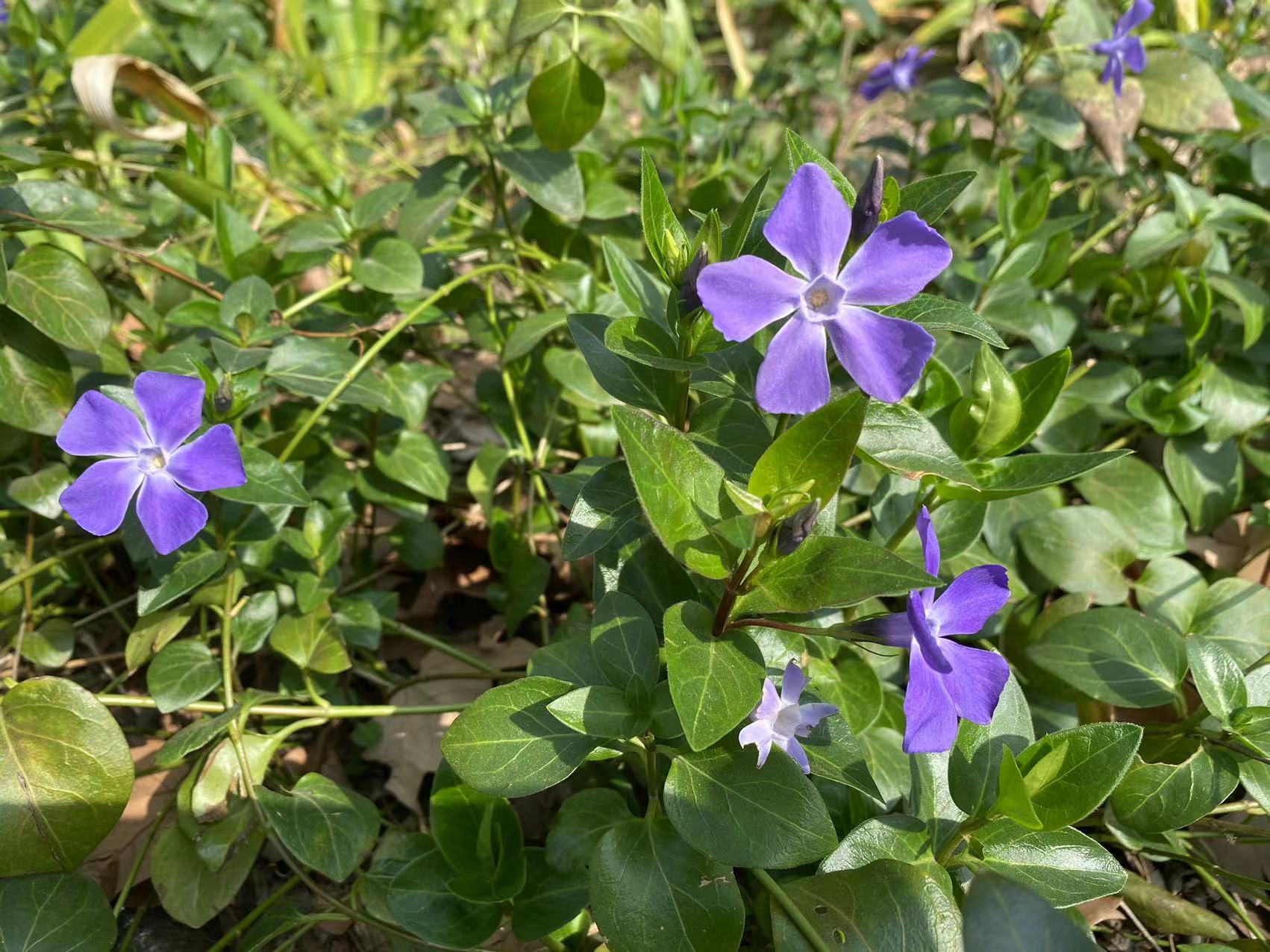 微信图片_20240326113725.jpg 微信图片_20240326113725.jpg