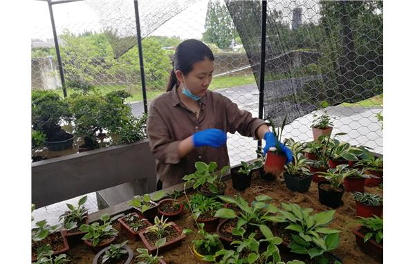 巡园及整改 (4).jpg 巡园及整改 (4).jpg