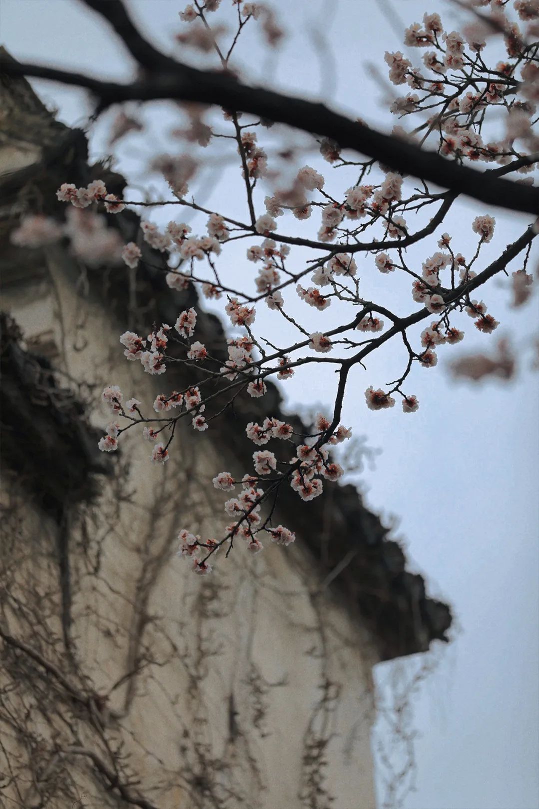 微信图片_20221021135514.jpg