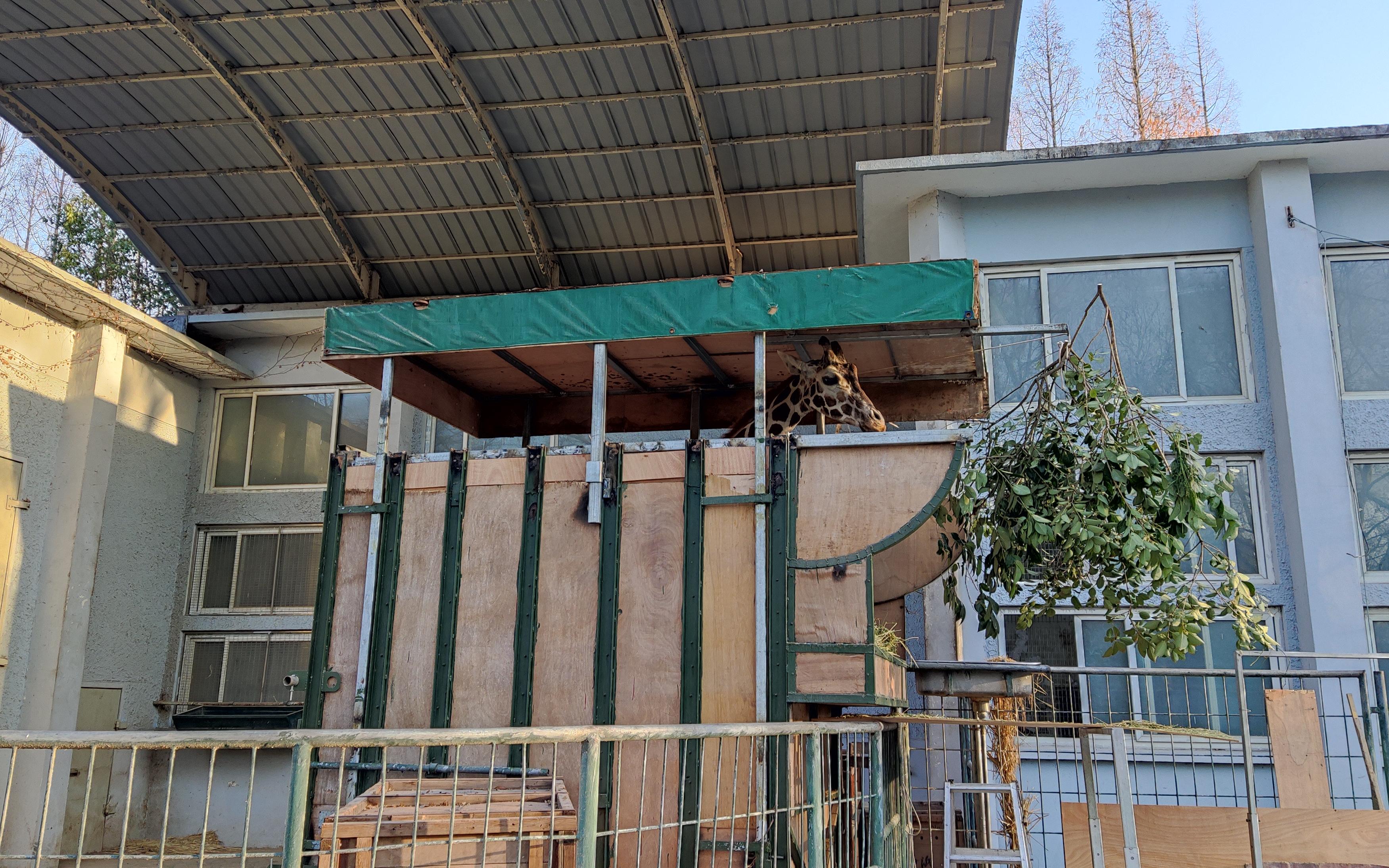 微信图片_20230319075220.jpg 微信图片_20230319075220.jpg