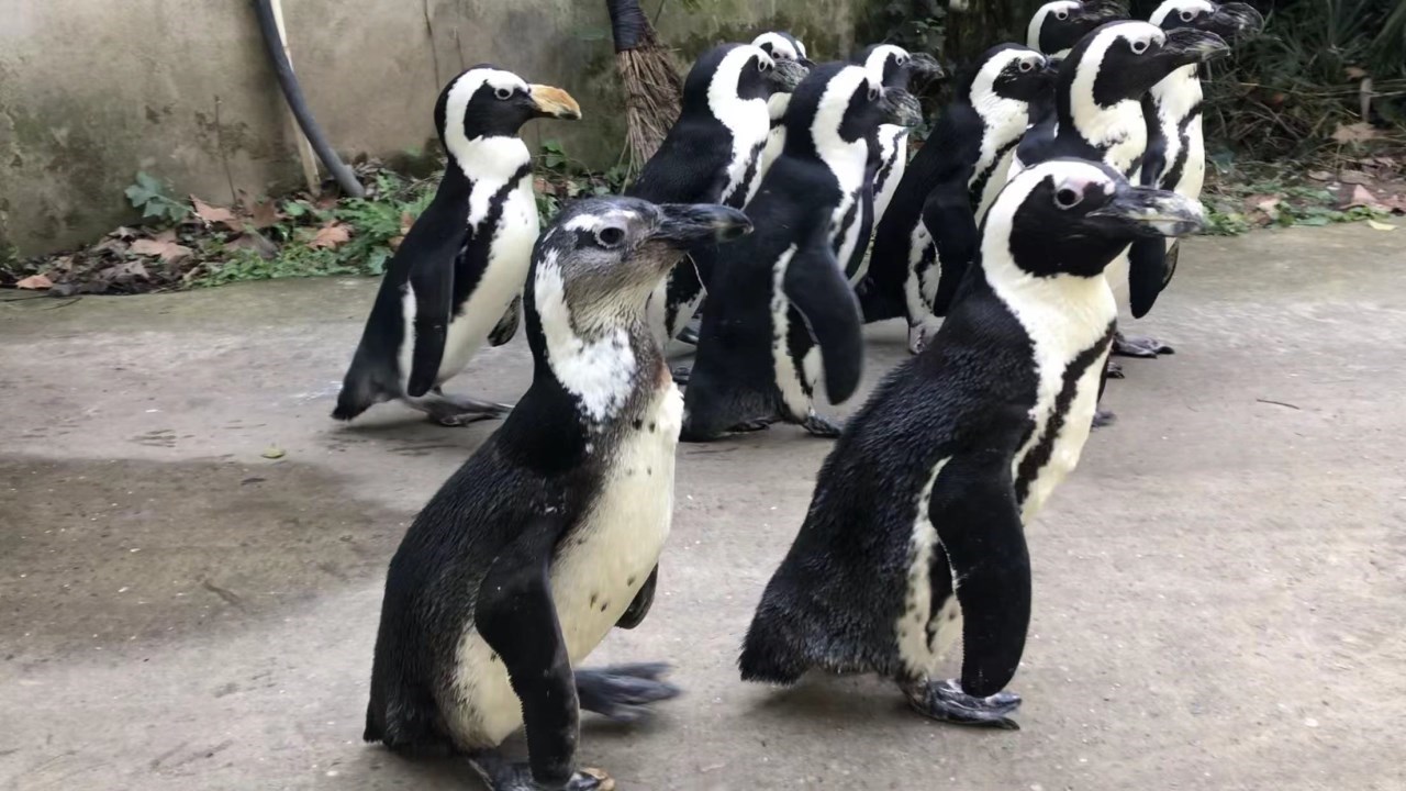 哔哩4.jpg 哔哩4.jpg