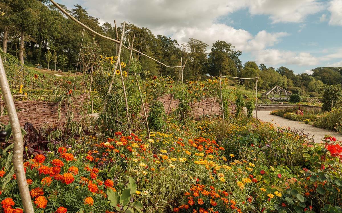 纽特花园 (6).jpg 纽特花园 (6).jpg