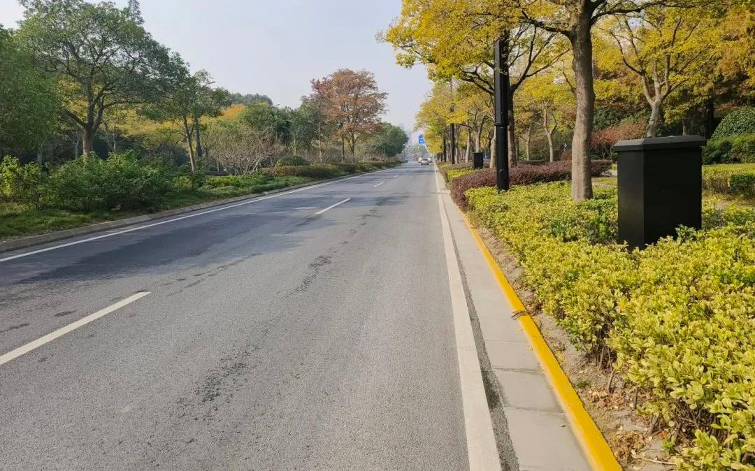 杨浦3这几条高标准保洁区域道路你走过吗