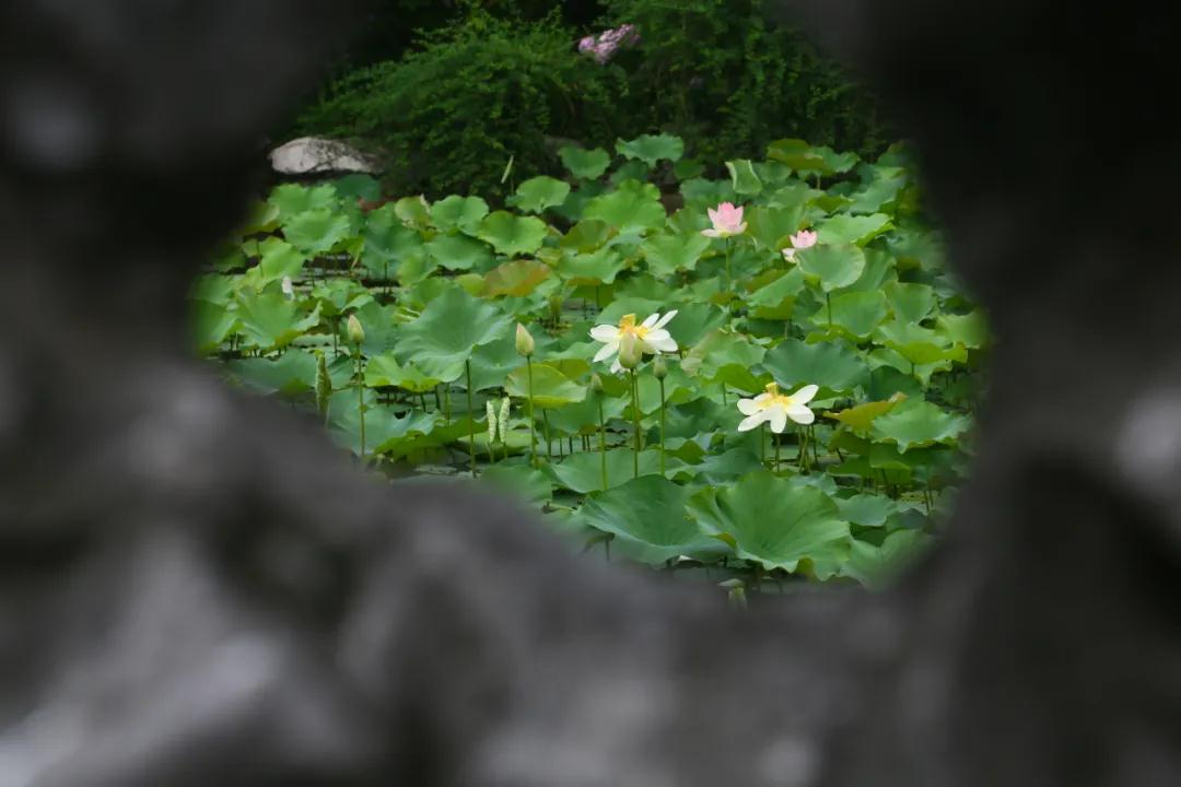 微信图片_20210608111334.jpg