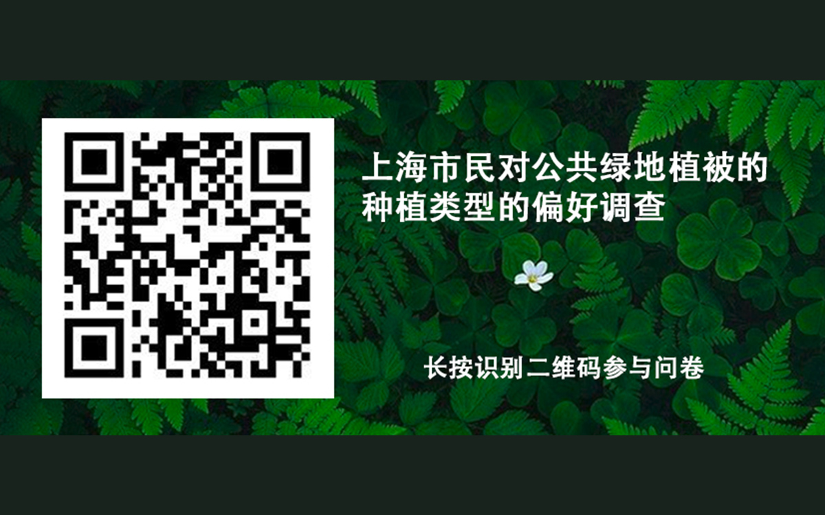 问卷.jpg