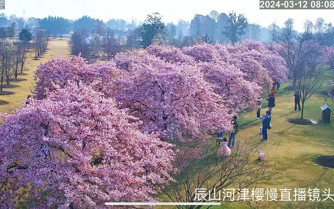 慢直播镜头.jpg