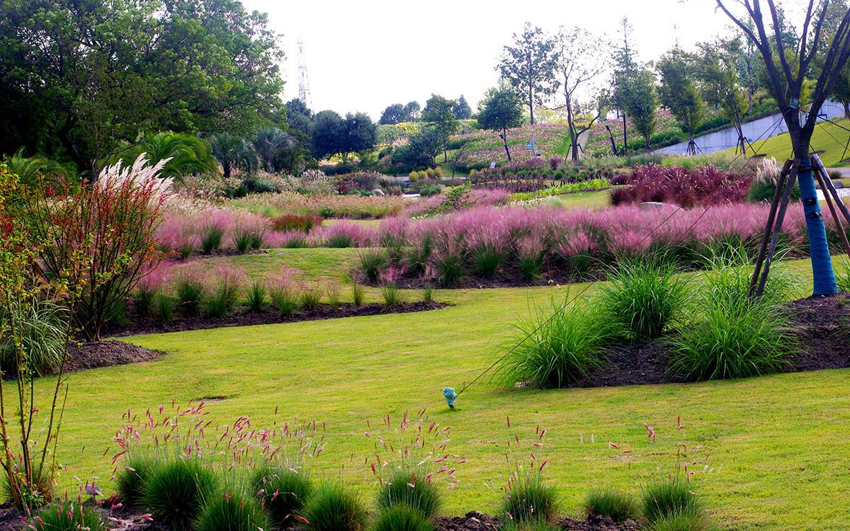 展示和优美的景观配置荣获"2022年度上海市公园十大特色植物区"称号