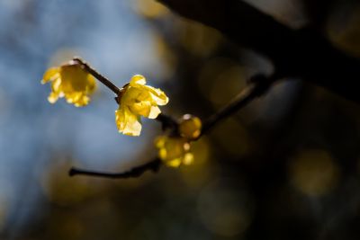 DSC_1640.jpg