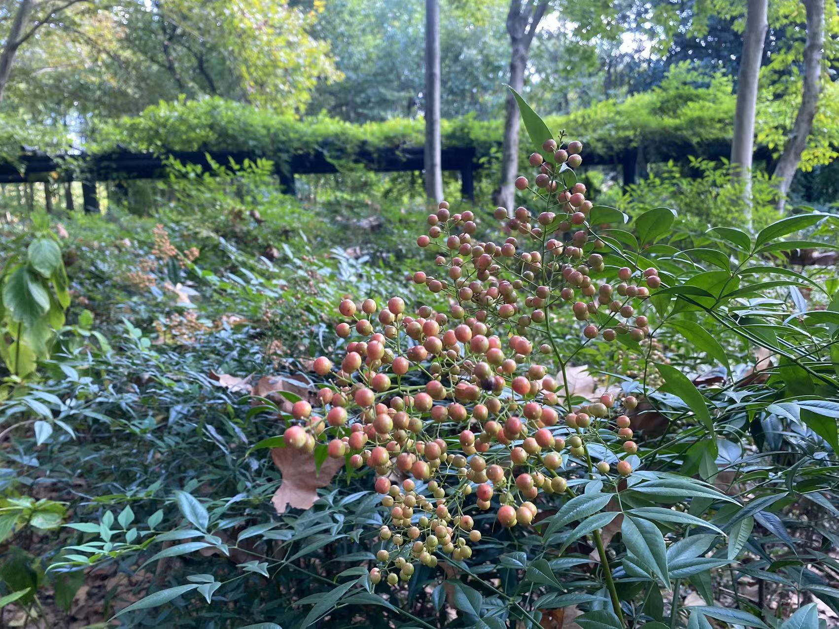 微信图片_20231030141357.jpg