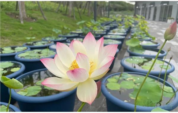 微信图片_20210601083748.jpg 微信图片_20210601083748.jpg