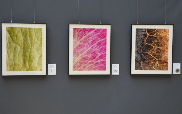 展2.jpg