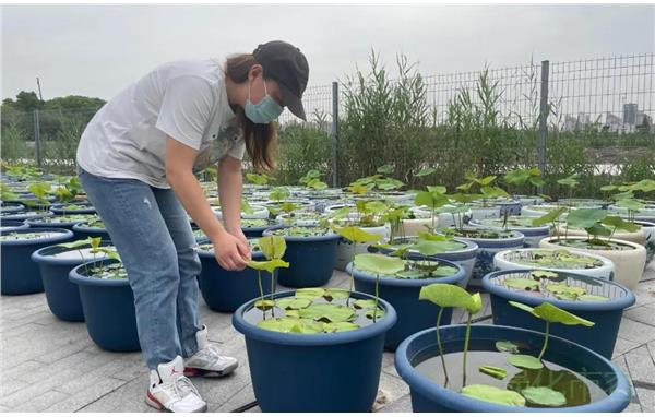 微信图片_20210601083801.jpg 微信图片_20210601083801.jpg