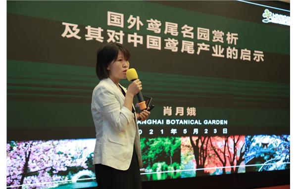 上海植物园科研人员在第三届全国鸢尾学术和产业发展