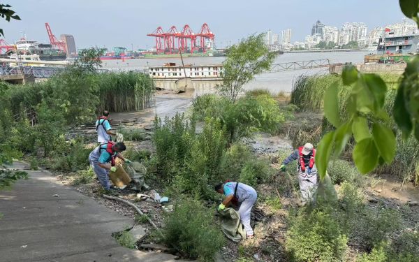 155 (6).jpg 155 (6).jpg