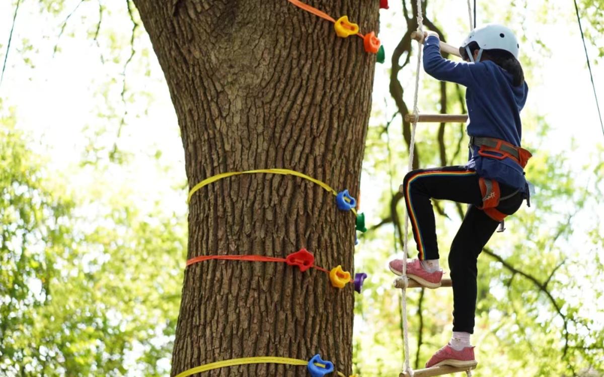 攀树动作及过程 (3).jpg