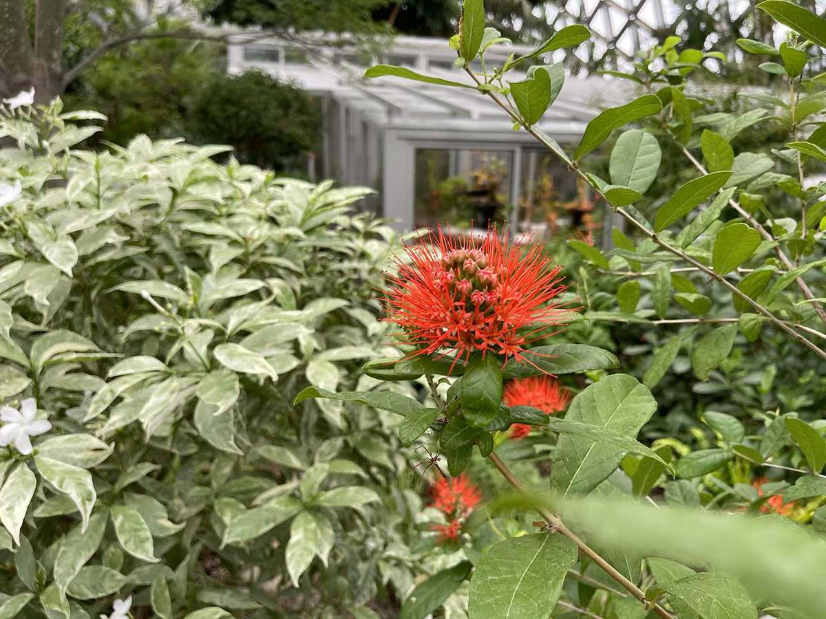 风车子 (2).jpg 风车子 (2).jpg