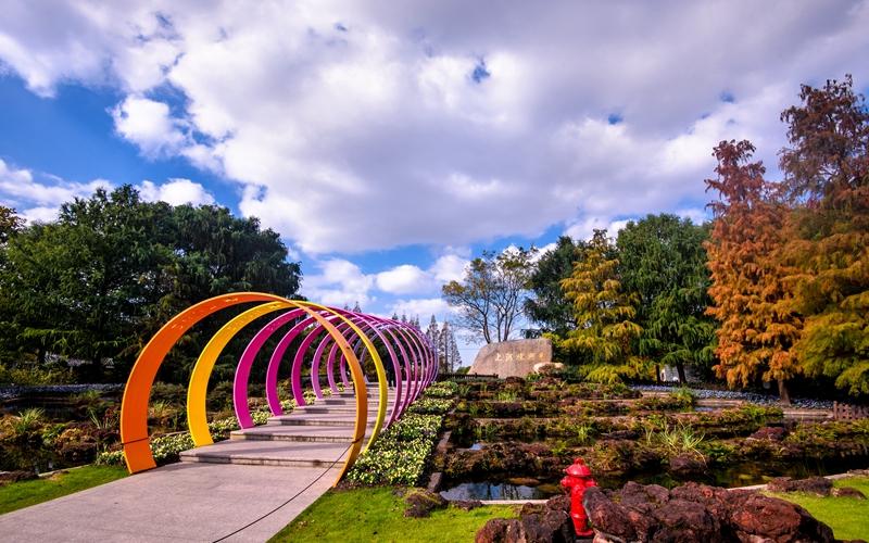 DSC_3326.jpg DSC_3326.jpg