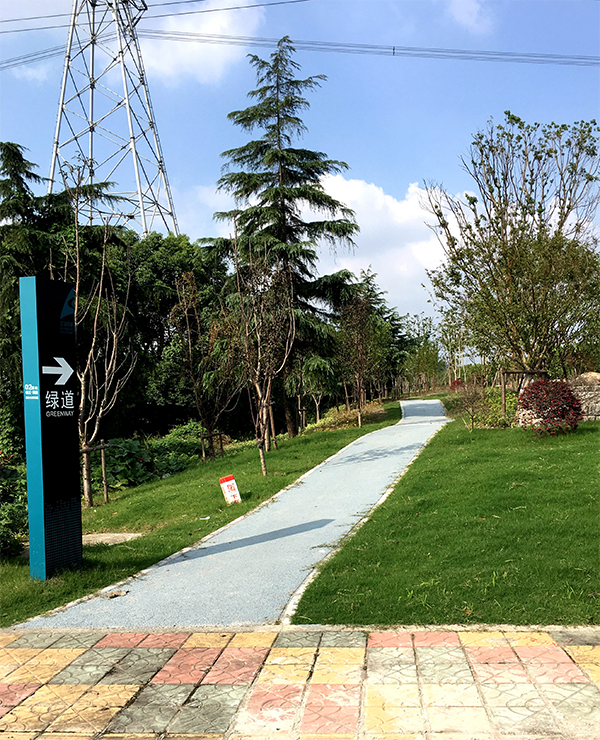 松江嘉松公路绿道.jpg