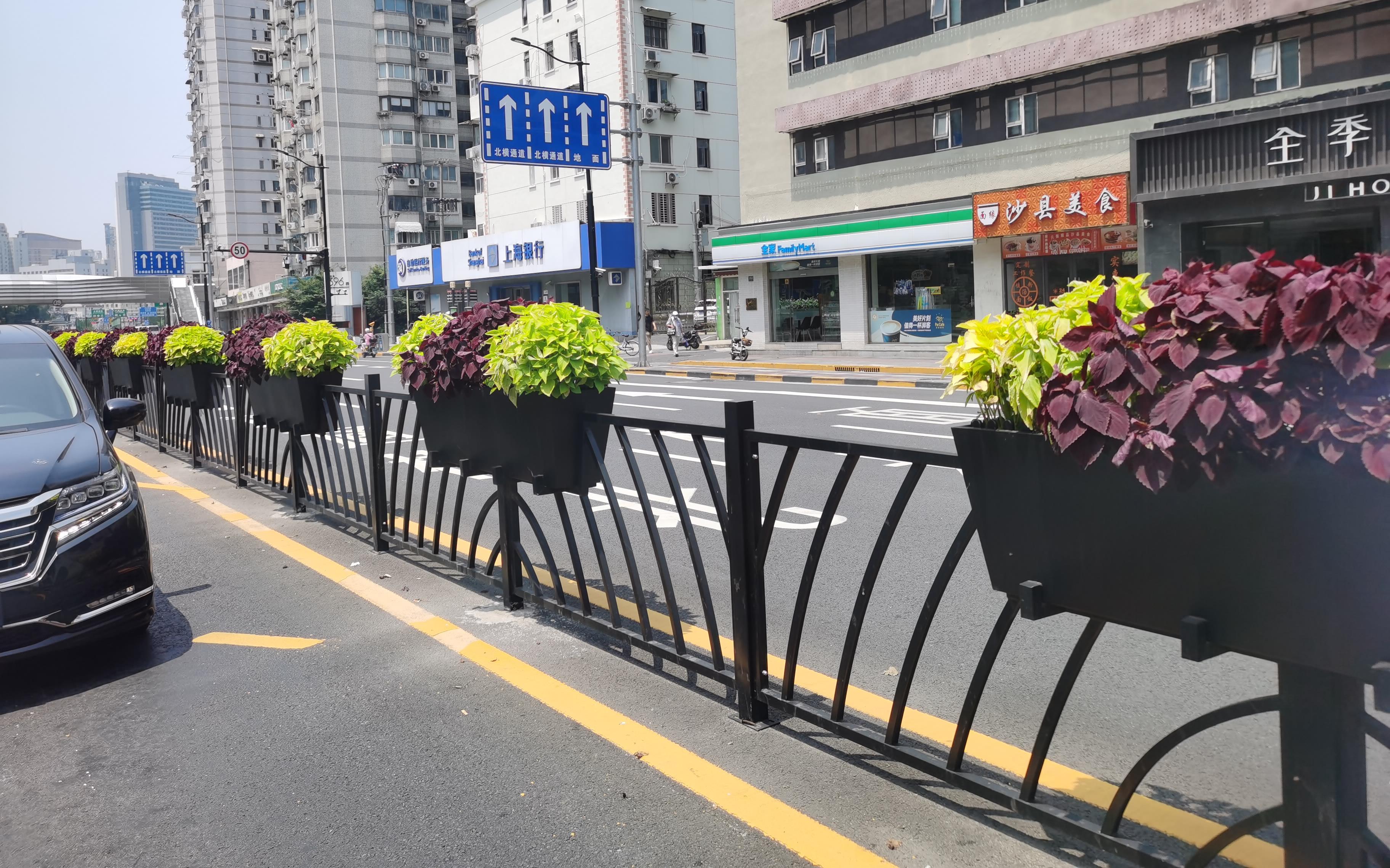 3-1 长宁路套盆栽植.jpg