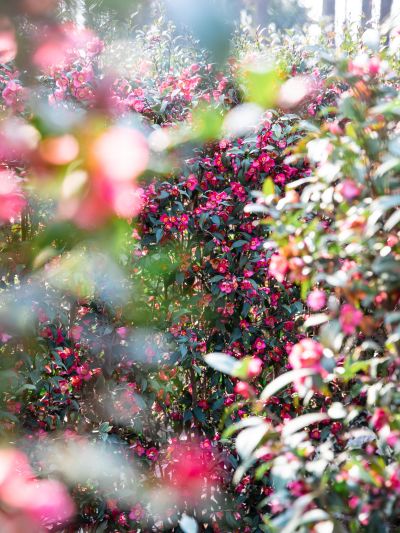 微信图片_20230112183100.jpg 微信图片_20230112183100.jpg