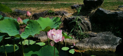 f1acc50bb7859318fc091dfcb59477f.jpg f1acc50bb7859318fc091dfcb59477f.jpg