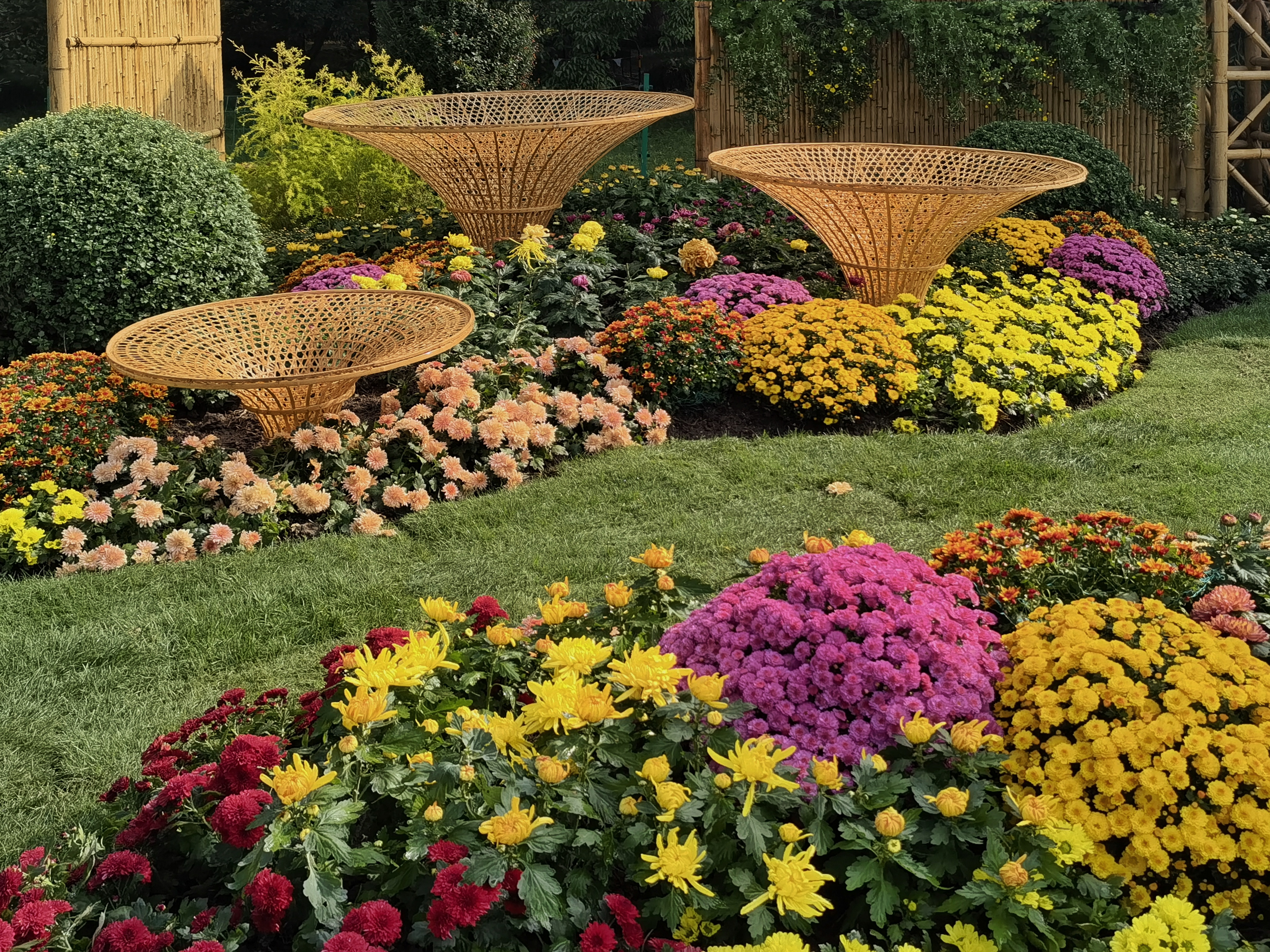 微信图片_20231106163345.jpg 微信图片_20231106163345.jpg