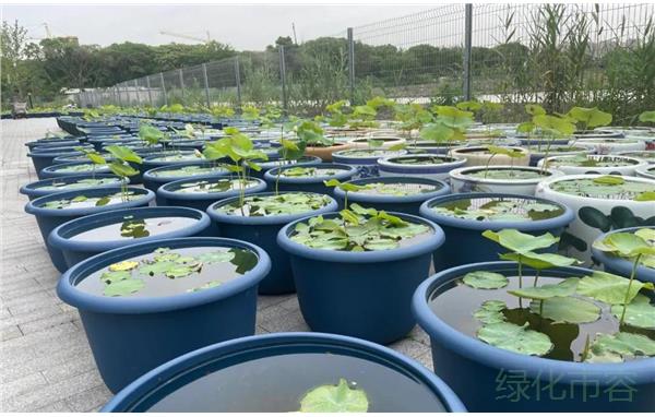 微信图片_20210601083738.jpg 微信图片_20210601083738.jpg