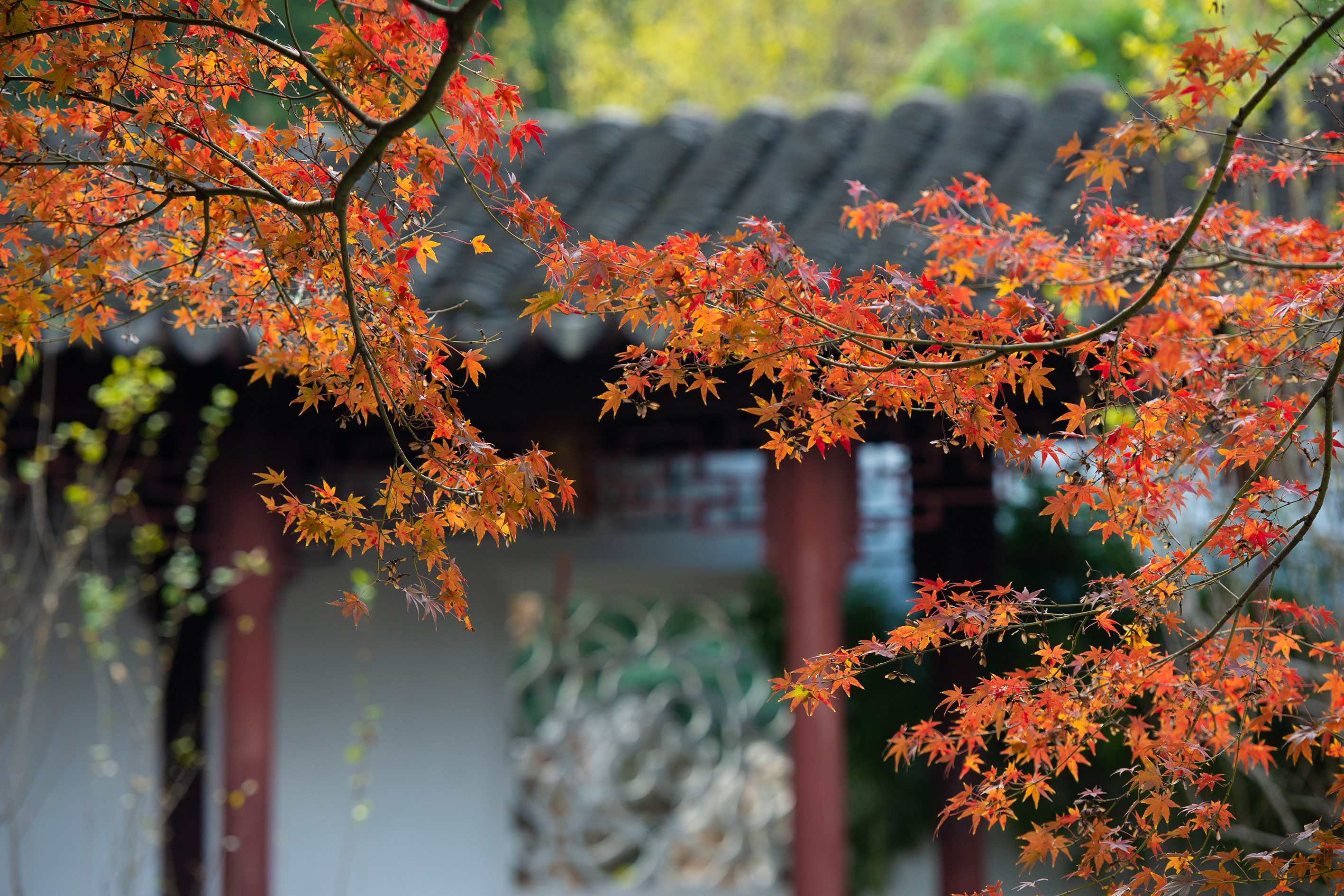 27b214f7bc1d3c0a4b1a0d9090192ee.jpg 27b214f7bc1d3c0a4b1a0d9090192ee.jpg