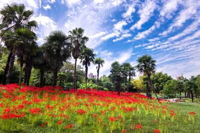 DSC_2714.jpg DSC_2714.jpg