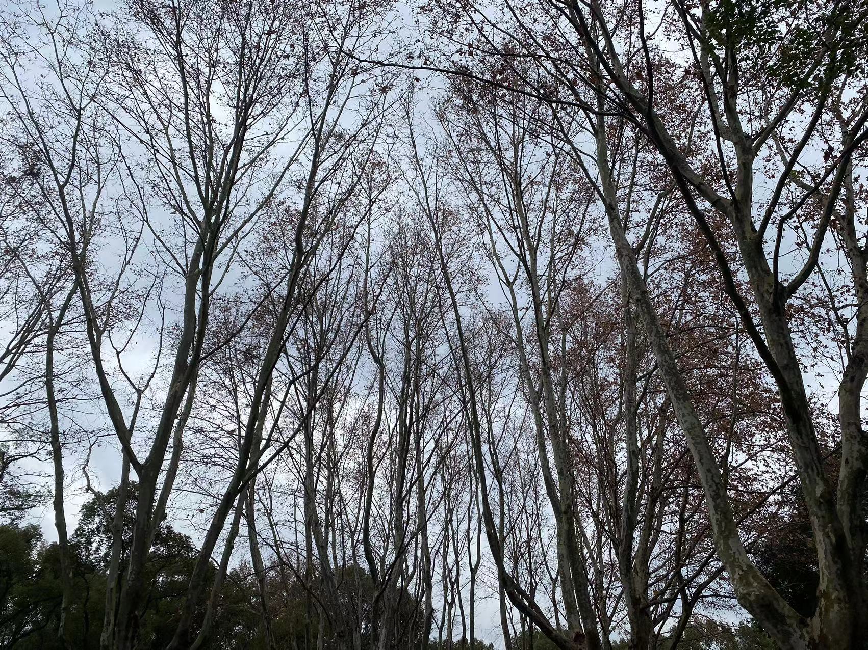 微信图片_20231219152316.jpg