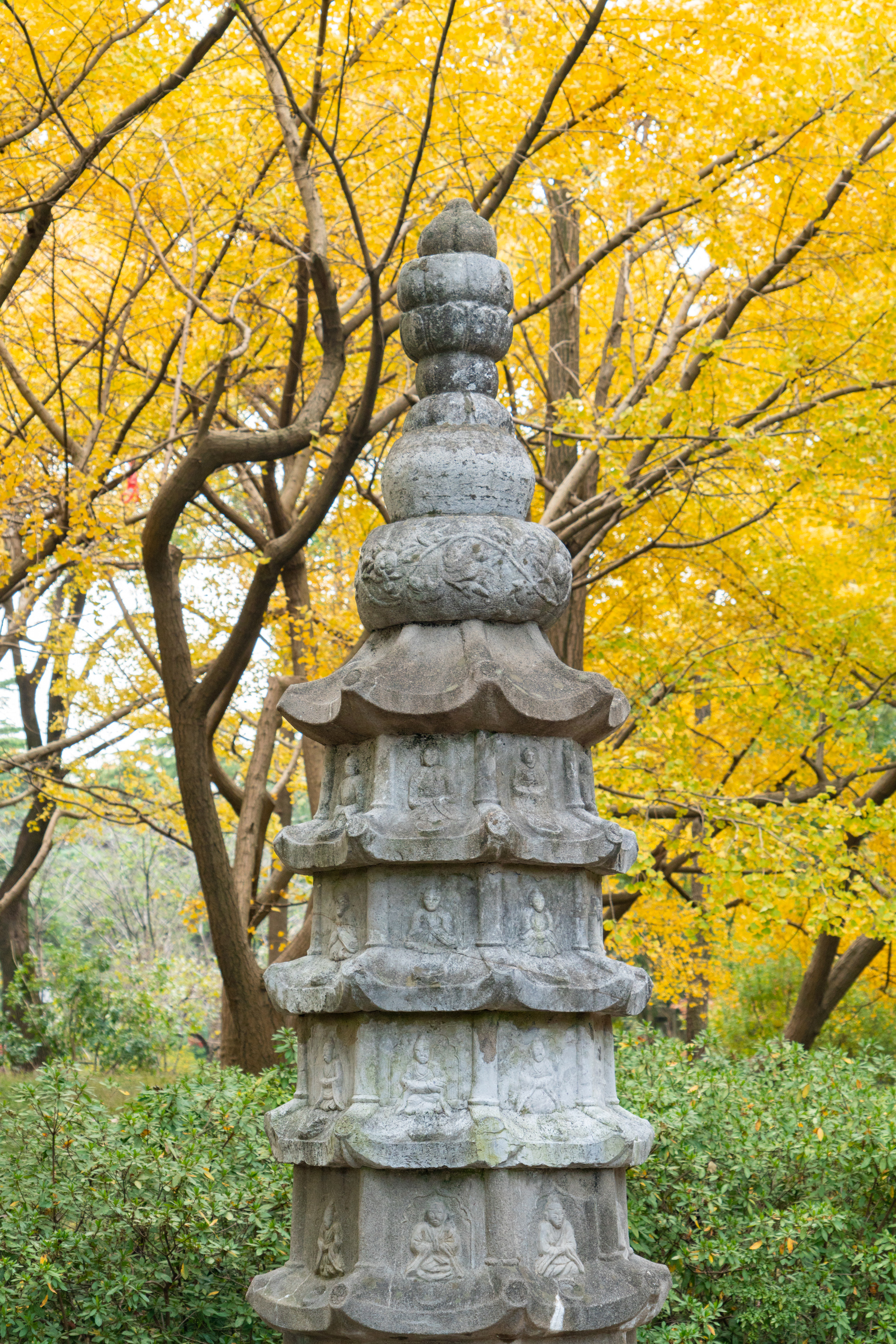 ed92d7aa6216a3464a29fd0a5008169.jpg ed92d7aa6216a3464a29fd0a5008169.jpg