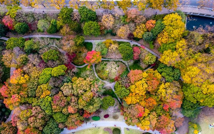 DJI_0019.jpg DJI_0019.jpg