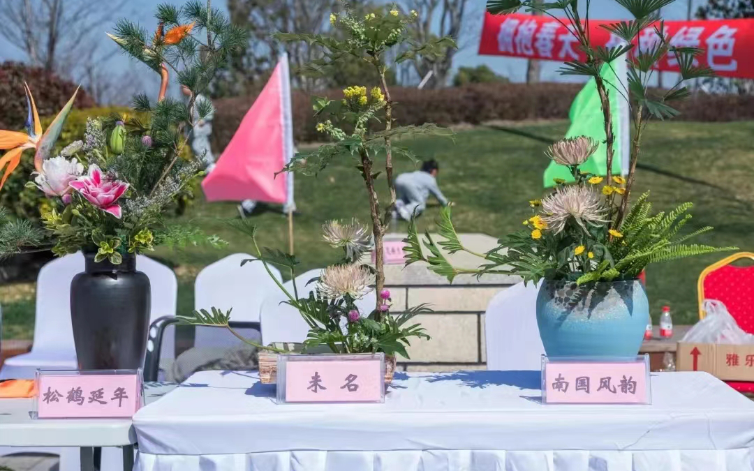 图片30.png