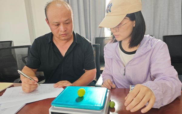 上海市林业总站组织开展‘申玉’葡萄品种现场查定 依法推进林木品种审定6.jpg 上海市林业总站组织开展‘申玉’葡萄品种现场查定 依法推进林木品种审定6.jpg