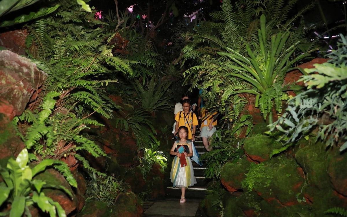 植物趣发现辰山植物园夜游季8月场次开启报名