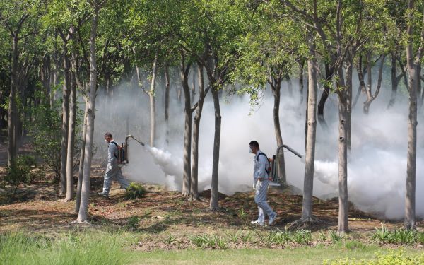 上海市成功举办“2025年上海市林业生物灾害防控宣传周启动仪式暨林业有害生物防控演练”活动8.jpg