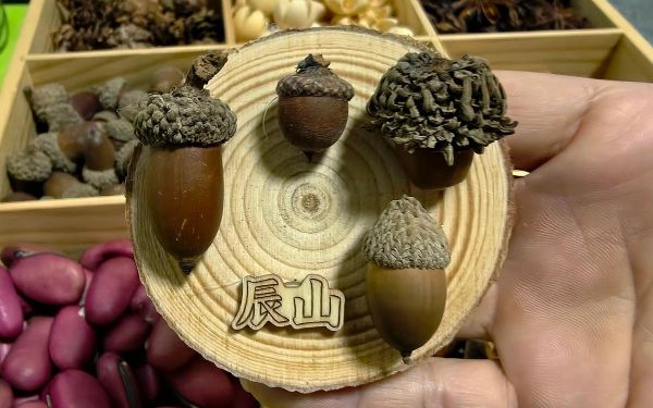 种子冰箱贴__1_.jpg