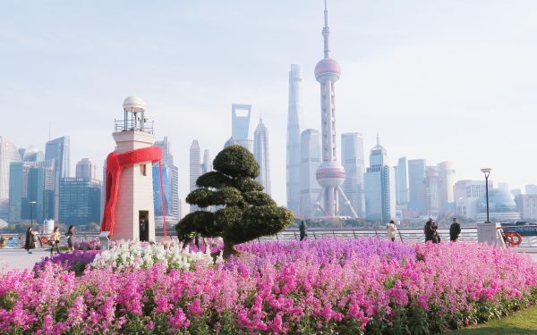 03.虹口区东岸绿地_迎新花卉_.JPG