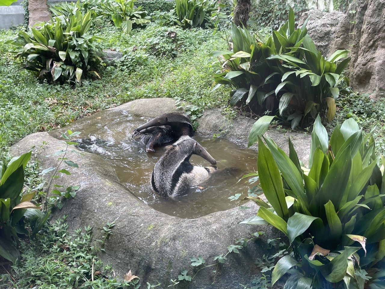 微信图片_20210817185327.jpg